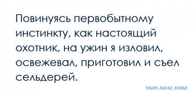 Про депутатов, их жён и любовниц