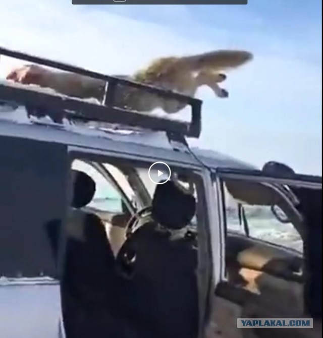 "Все, слазь, приехали"