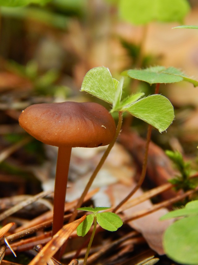 Природа Южного Урала