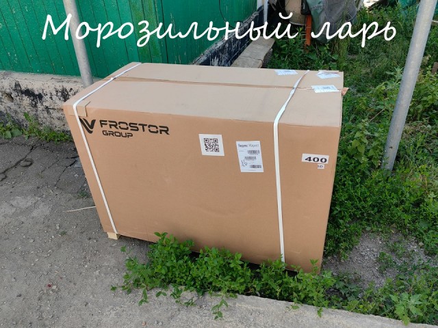 Жизнь домашнего приюта "Котоленд" 394