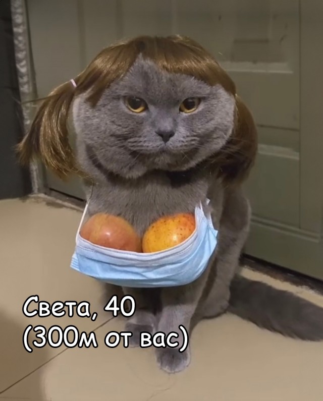 Постыдное с сайтов знакомств