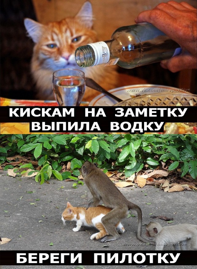 А вы бы поверили?