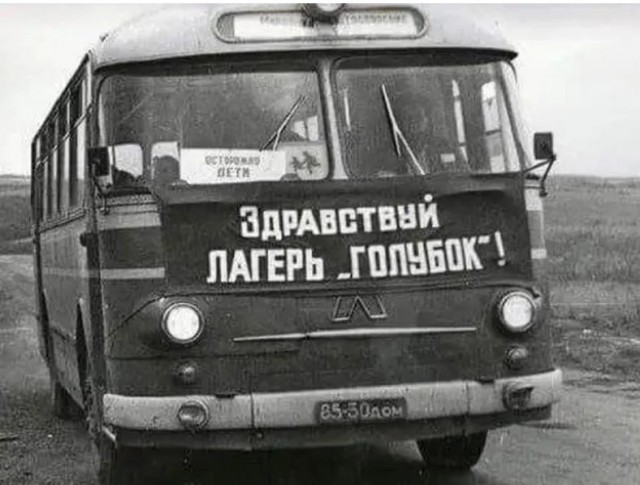 Российских школьников хотят отправить в лагеря Северной Кореи