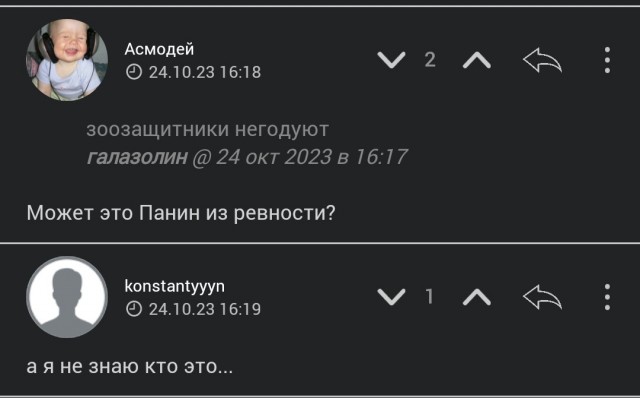Ходят слухи, что виллу Анатолия Шария в Испании, забросали "коктейлями Молотова"