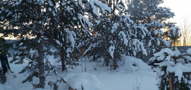 Зимняя красота