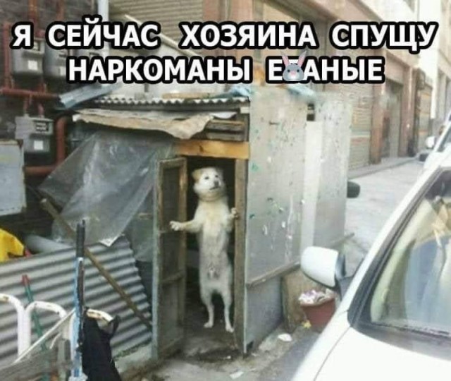 Квантовое бессмертие