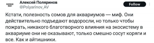 Никакие картинки