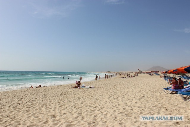 Хочу дачу на канарах!