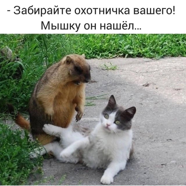 Сборник бабаянов или неожиданная помойка от Неждалигады