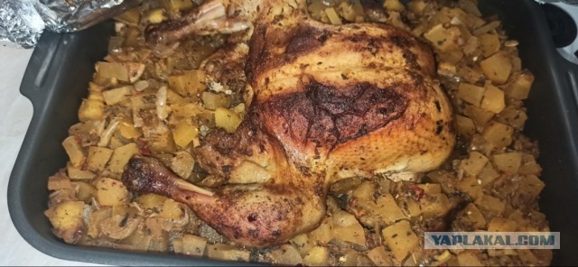 Пафосная подача курицы-гриль