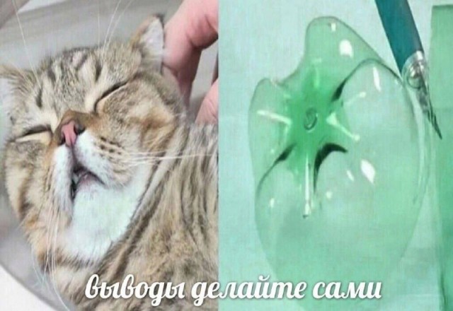 Весёлый полтишок 19.12.24