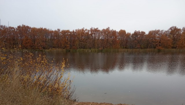 Фото с телефона