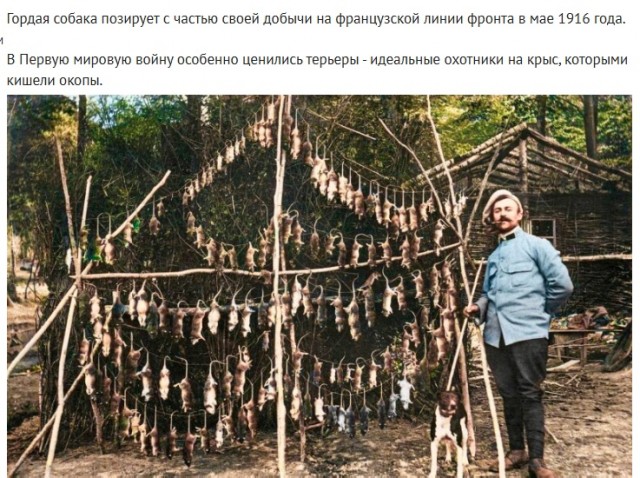 Интересные и редкие ретро-фотографии 10.02.25