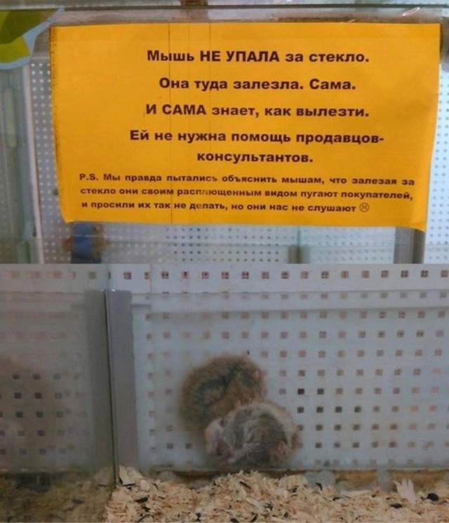 Завалялось тут случайно немного забавных картинок