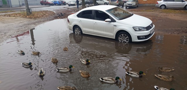 Вот так лужа