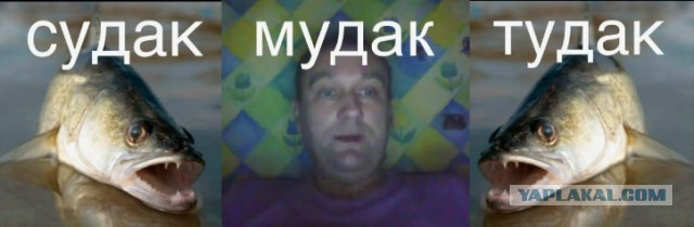 Суровый тест на ментальность. Тонут мать, жена и дочь - кого спасать первым?