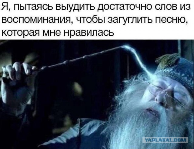 Картинки для деградации 20 (разной степени свежести)