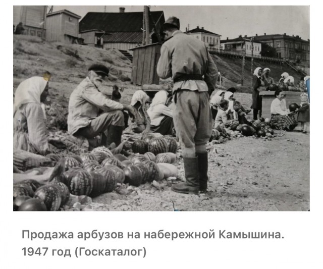 Арбуз или дыня