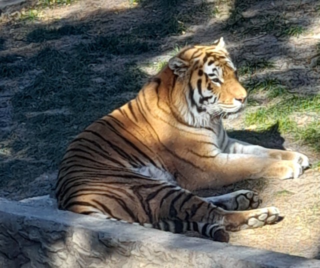 Ваше Величество, не могли бы вы...
