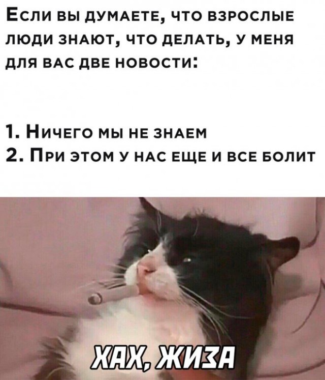 Веселые картинки в пятницу (29.08)