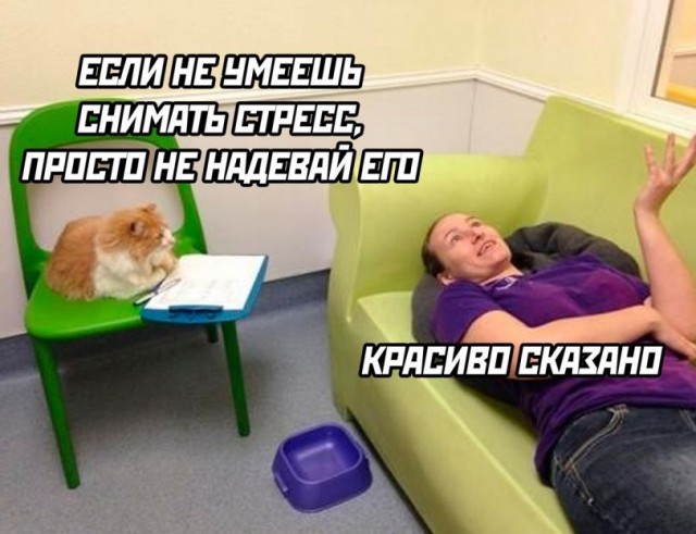 Немного картинкафф для настроения (баяны-перебаяны)