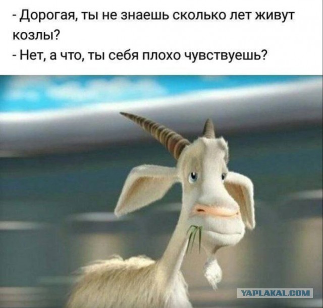 Картинки для деградации 51 (разной степени свежести)