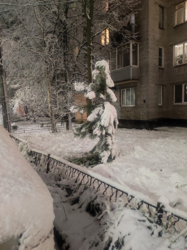 Первый снег.