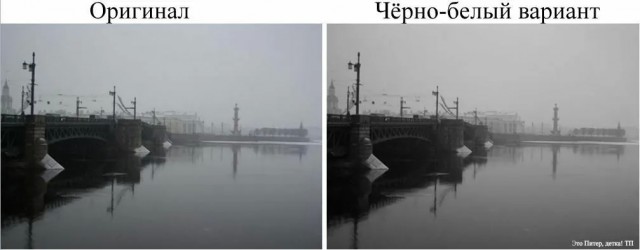 Молочный Питер