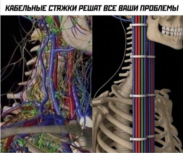 Мы паяли, мы ваяли, наши пальчики из ж@пы