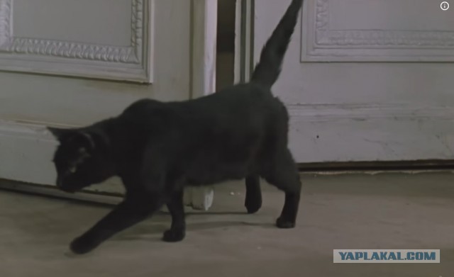 Нарушитель спокойствия