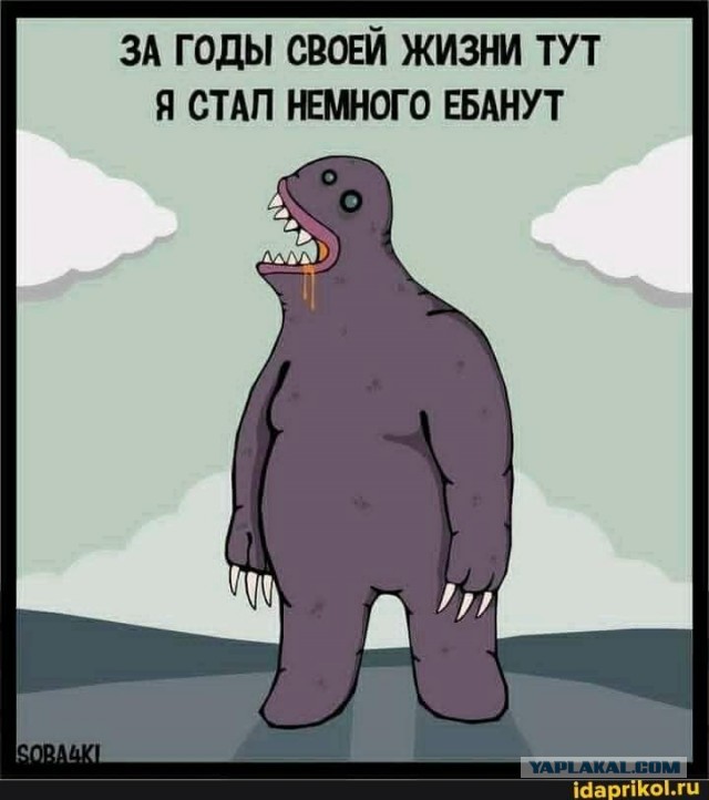 Развлекаем в реальность