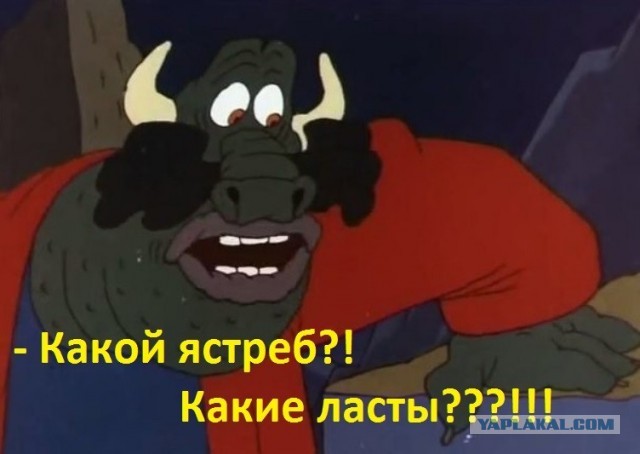 Песни недопоэтов. Танцуют все!