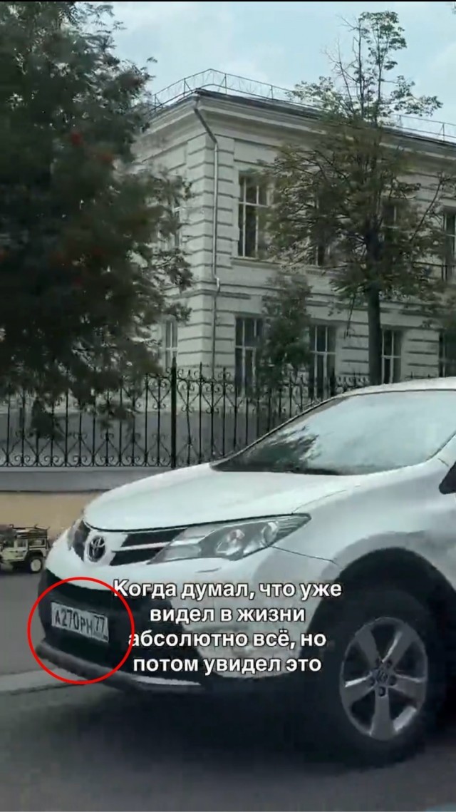 Необычная прогулка с питомцем
