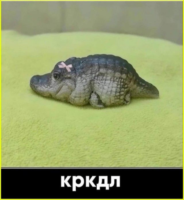 Понедельниковые тРРРидцать тРРРи