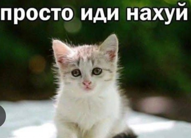 Универсальная речевая стратегия в конфликтной ситуации