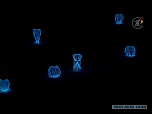 Смотрю открытие Олимпиады!
