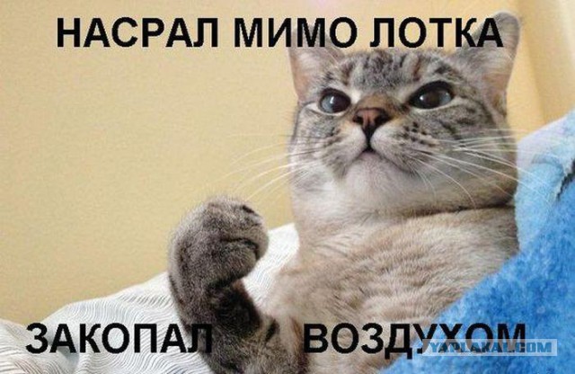 Позитивные картинки