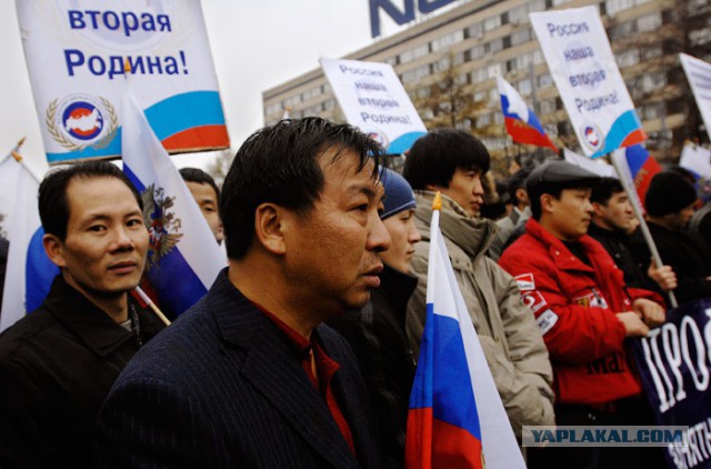 МВД объявило о росте числа