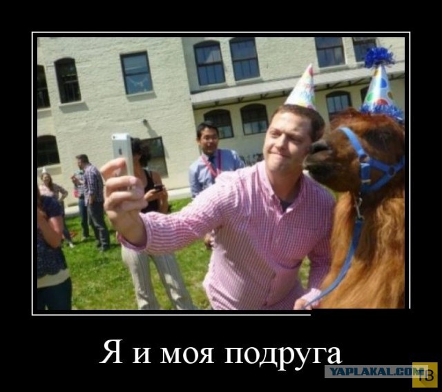 Самые злобные демотиваторы