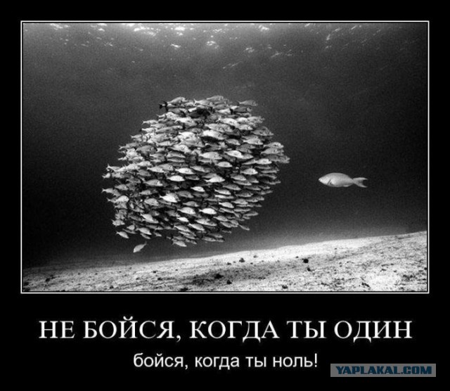 С миру по нитке. Демотиваторов чуть