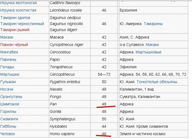 Новая теория происхождения людей