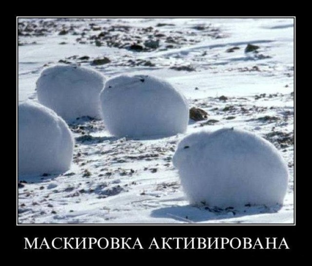 Подборка демотиваторов
