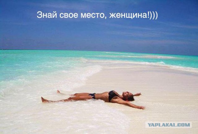 Картинки из сети