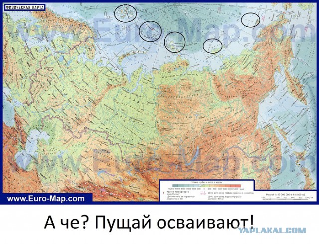 Началось и у нас мля...
