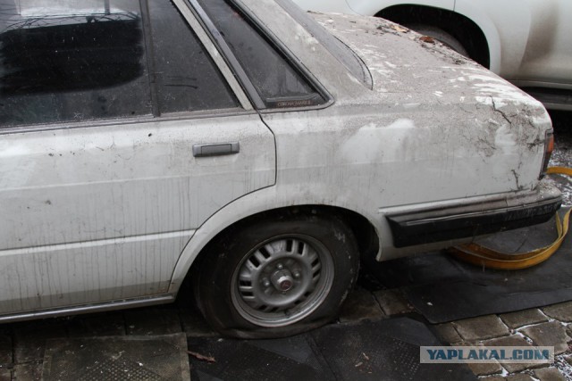 За стеной: необычная находка Toyota Mark II 1984