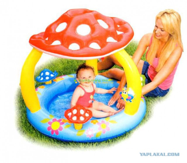 Удивительный мир грибов