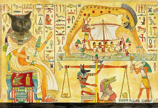 Однажды кот охотился на вазу...