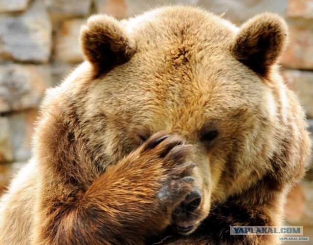 Добро пожаловать! Это Россия!