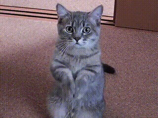Гифки про всё