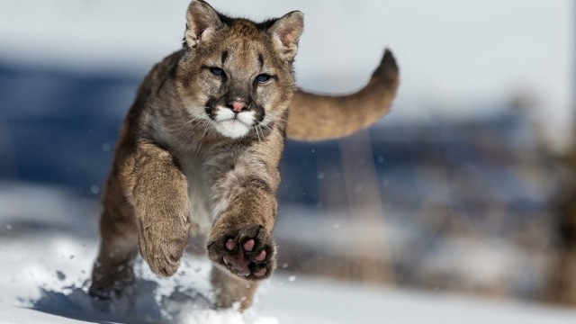 Интересные и веселые картинки